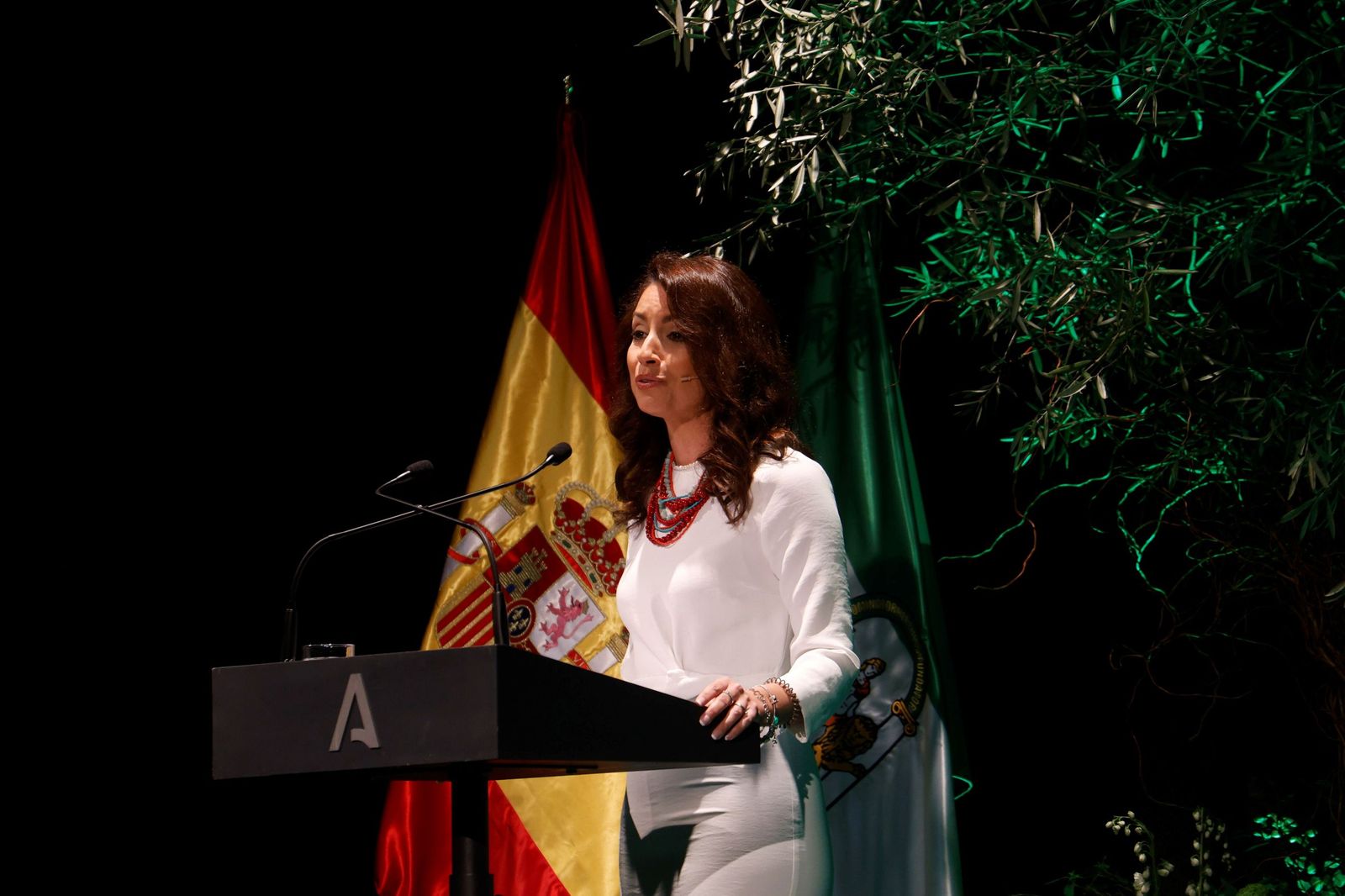 La entrega de las Banderas de Andalucía por el 28F en Córdoba, en imágenes