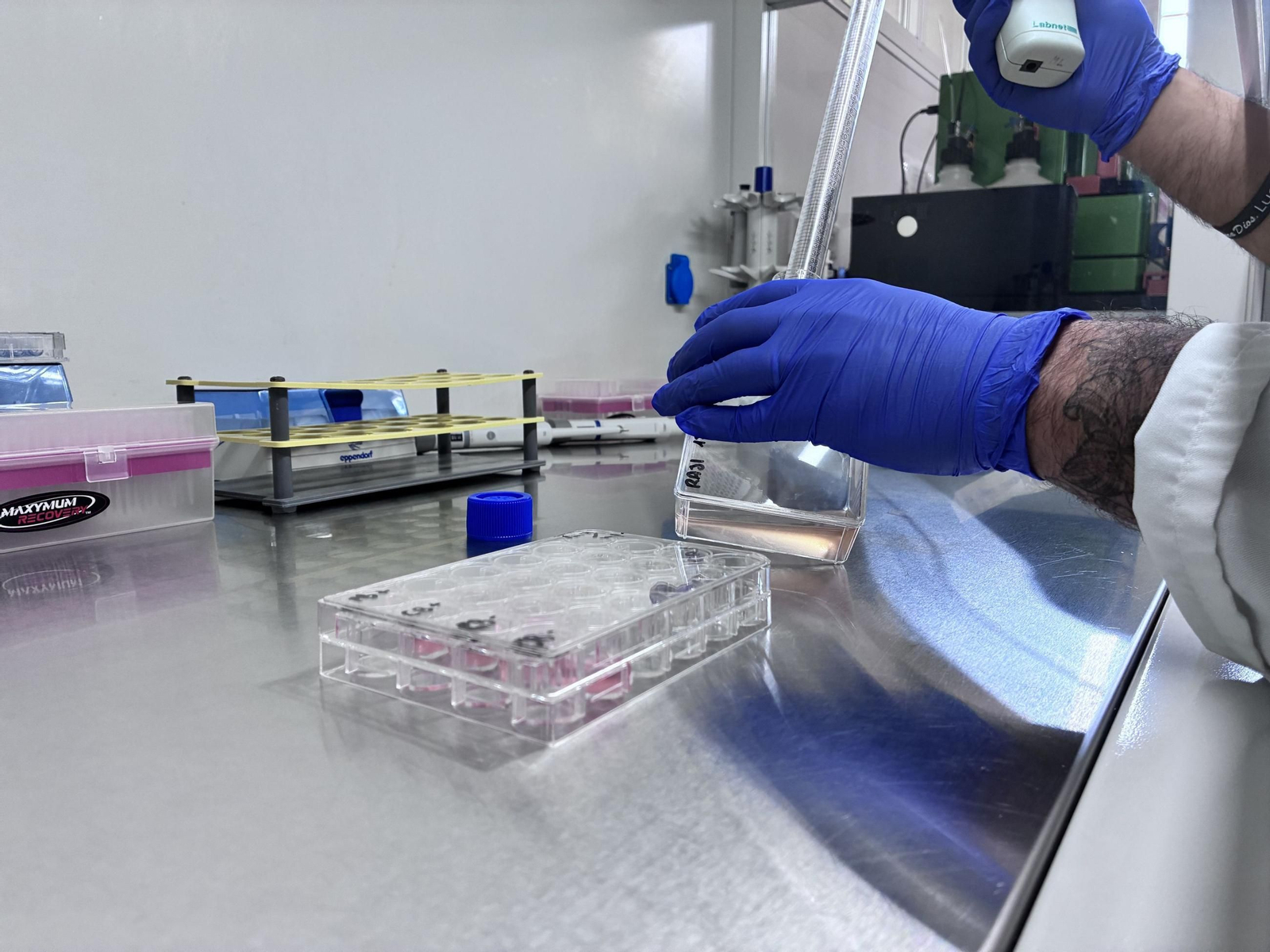 Andalucía lanza CART_Andalucía: nueva terapia CAR-T contra cánceres de la sangre