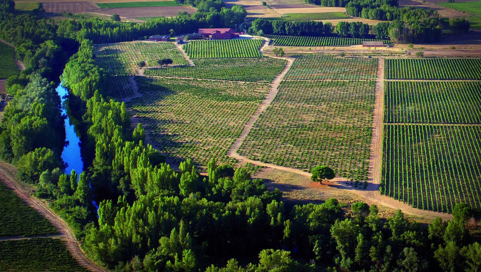 Imagen aérea de Dominio Fournier, la bodega a orillas del Duero adquirida por González Byass en abril de 2019.