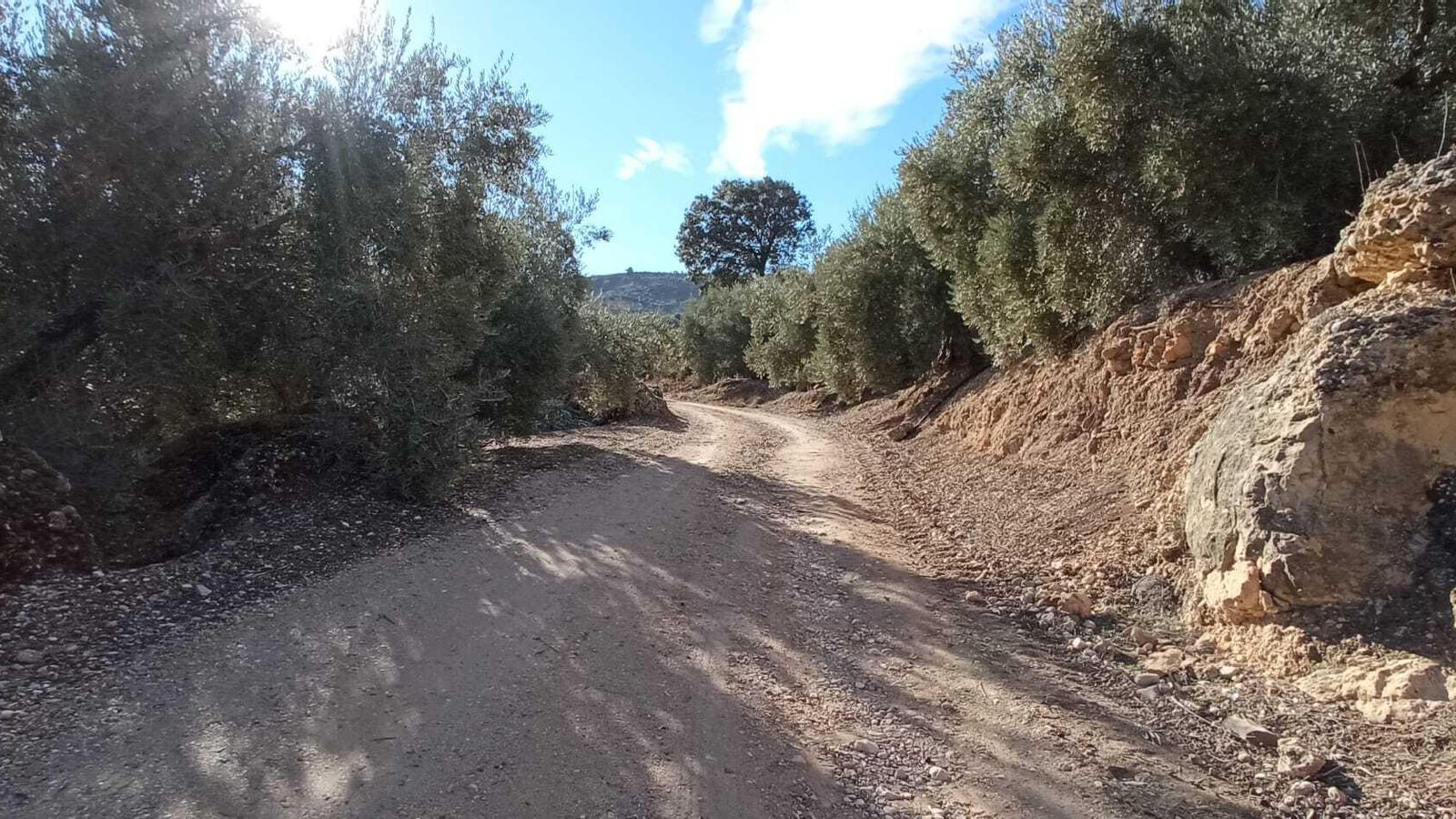 Las imágenes de la ruta del Bosque Encantado de Higueras