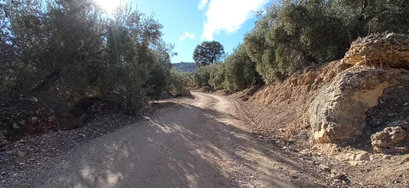 Las imágenes de la ruta del Bosque Encantado de Higueras