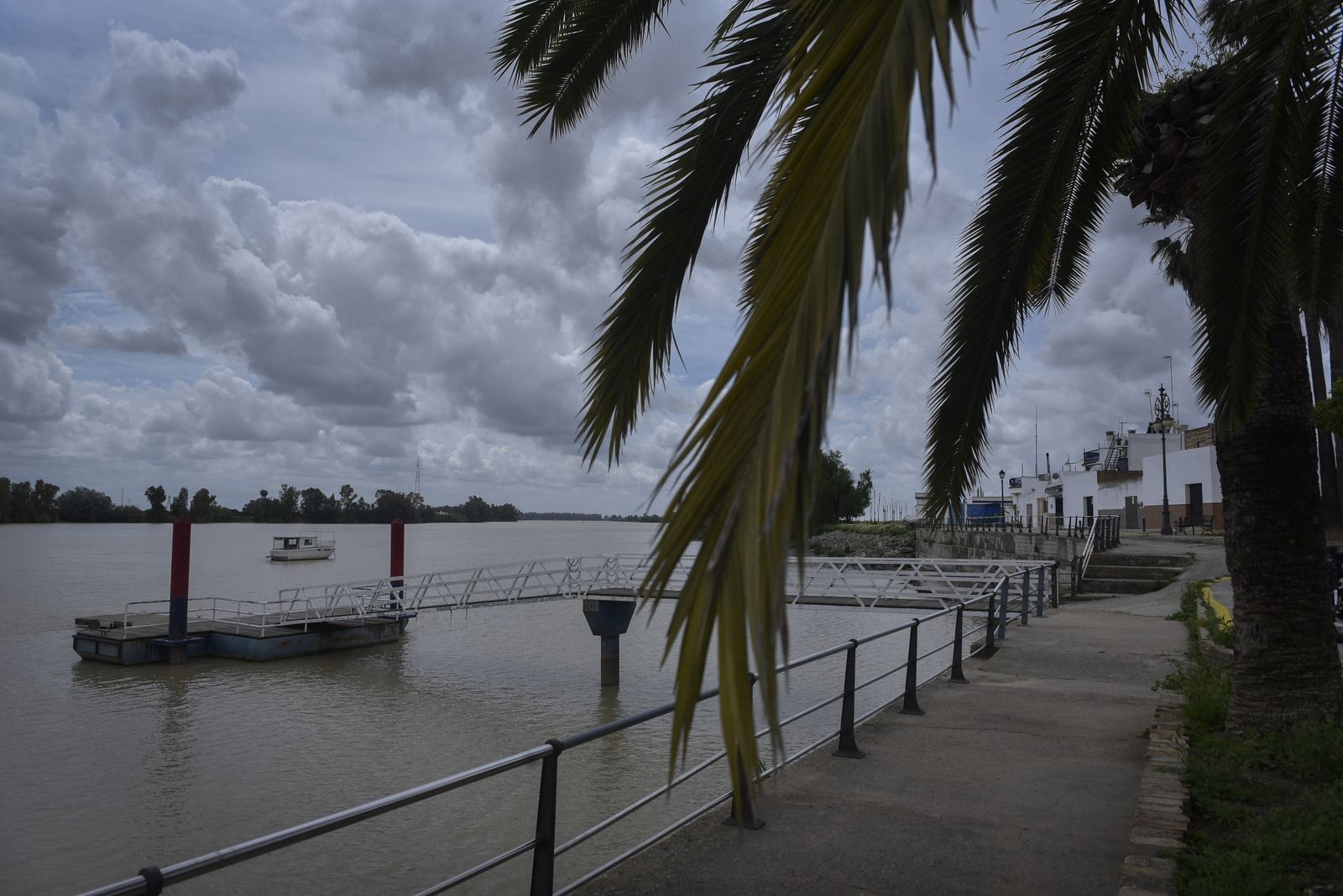 La resistencia en las calles de Sevilla Este y La puebla del Río: corazón de Sevilla y puerta de Doñana