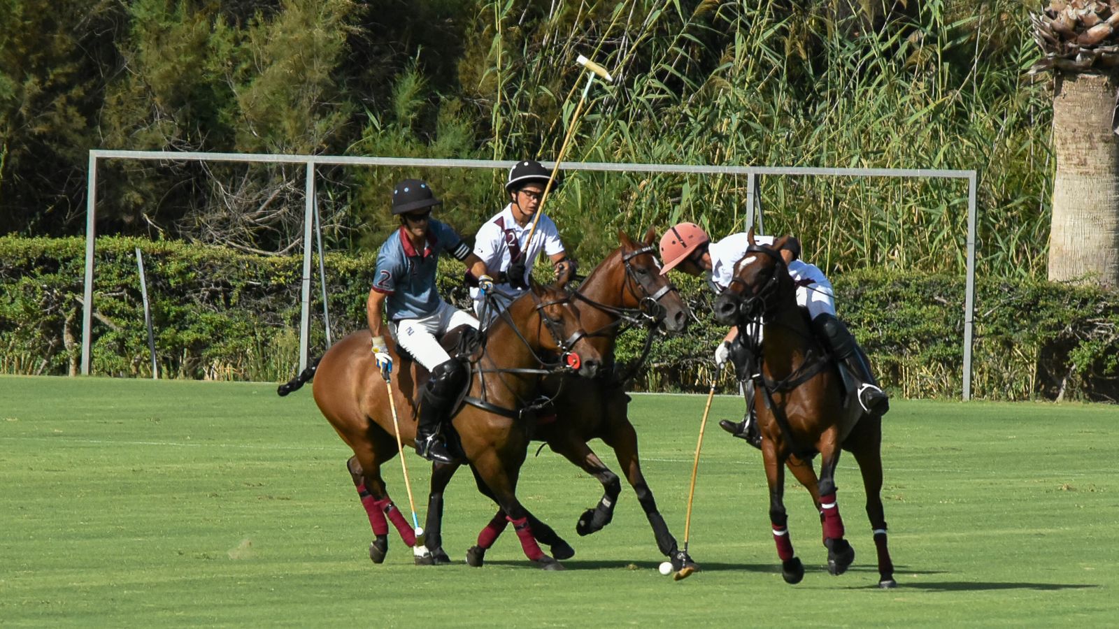Las fotos del torneo Internacional de polo Sotogrande
