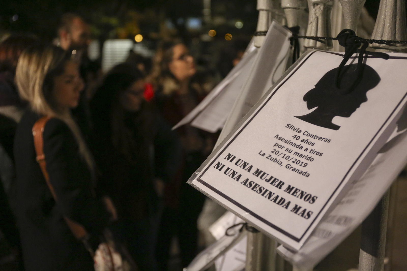 Fotos de la manifestación del 25N contra la violencia de género en Málaga