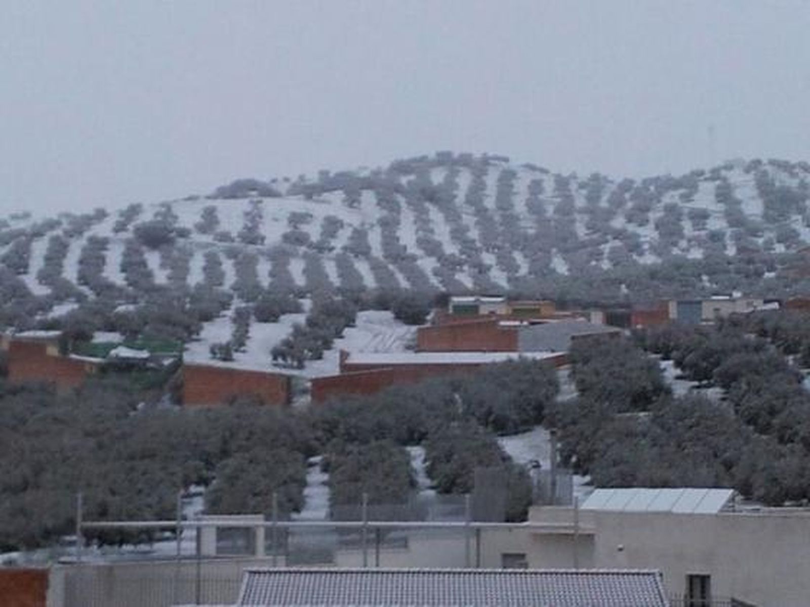 Nueva carteya

Foto: G. Giménez