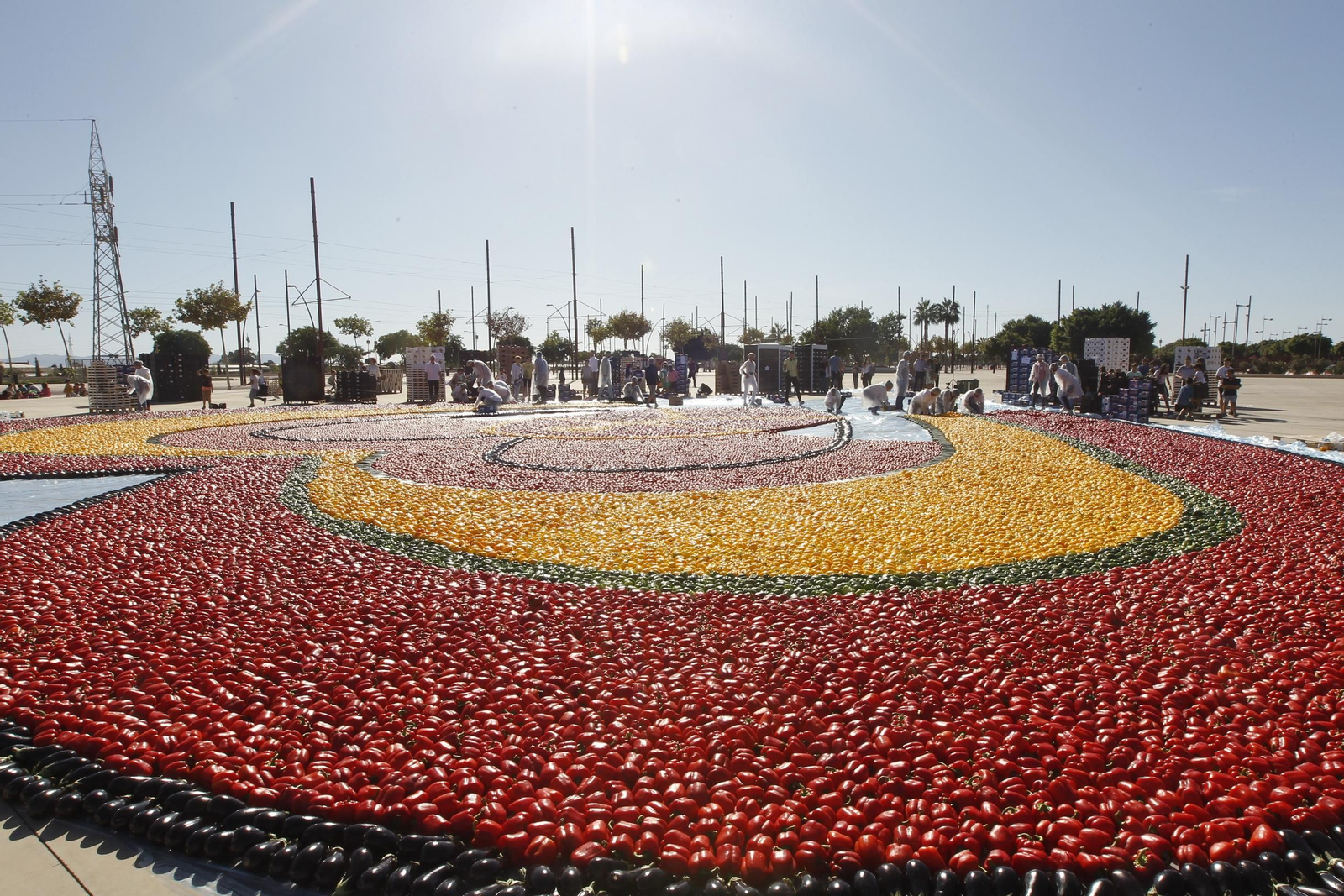 Fotogalería Récord Guinness Corazón Hortalizas Almería