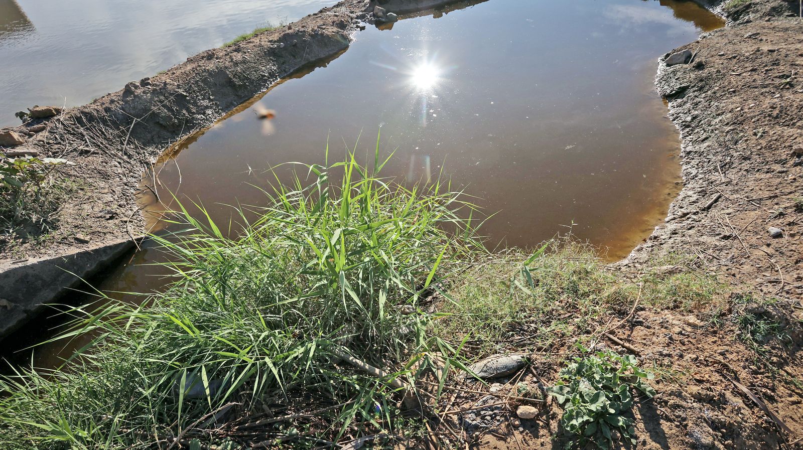 Abandono del río Guadalete a su paso por Jerez