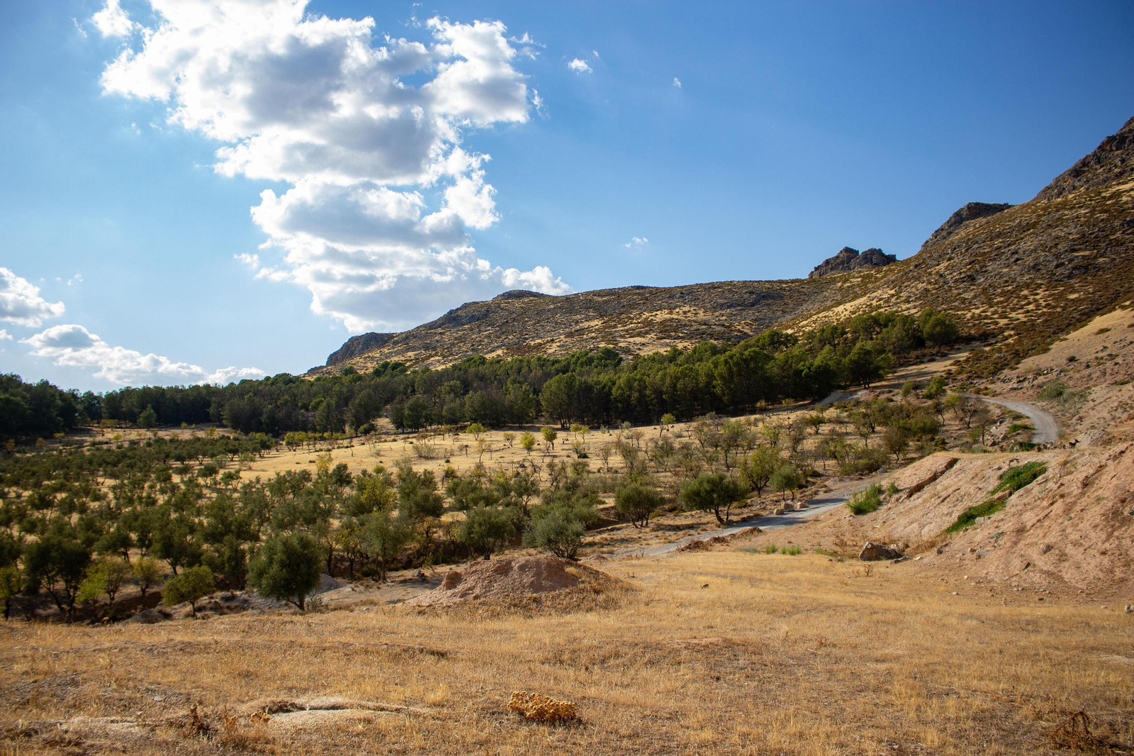 Sierra Elvira, lugar donde se ubica el supuesto volcán de Granada