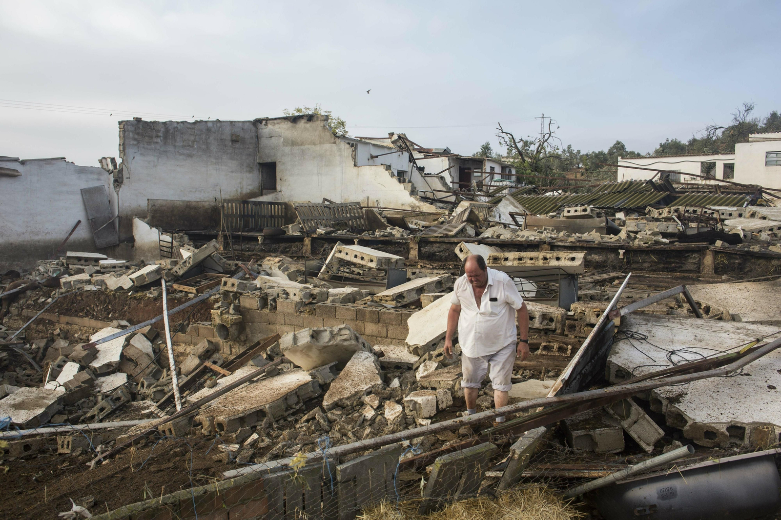Fotos de los daños causados por los tornados en Campillos