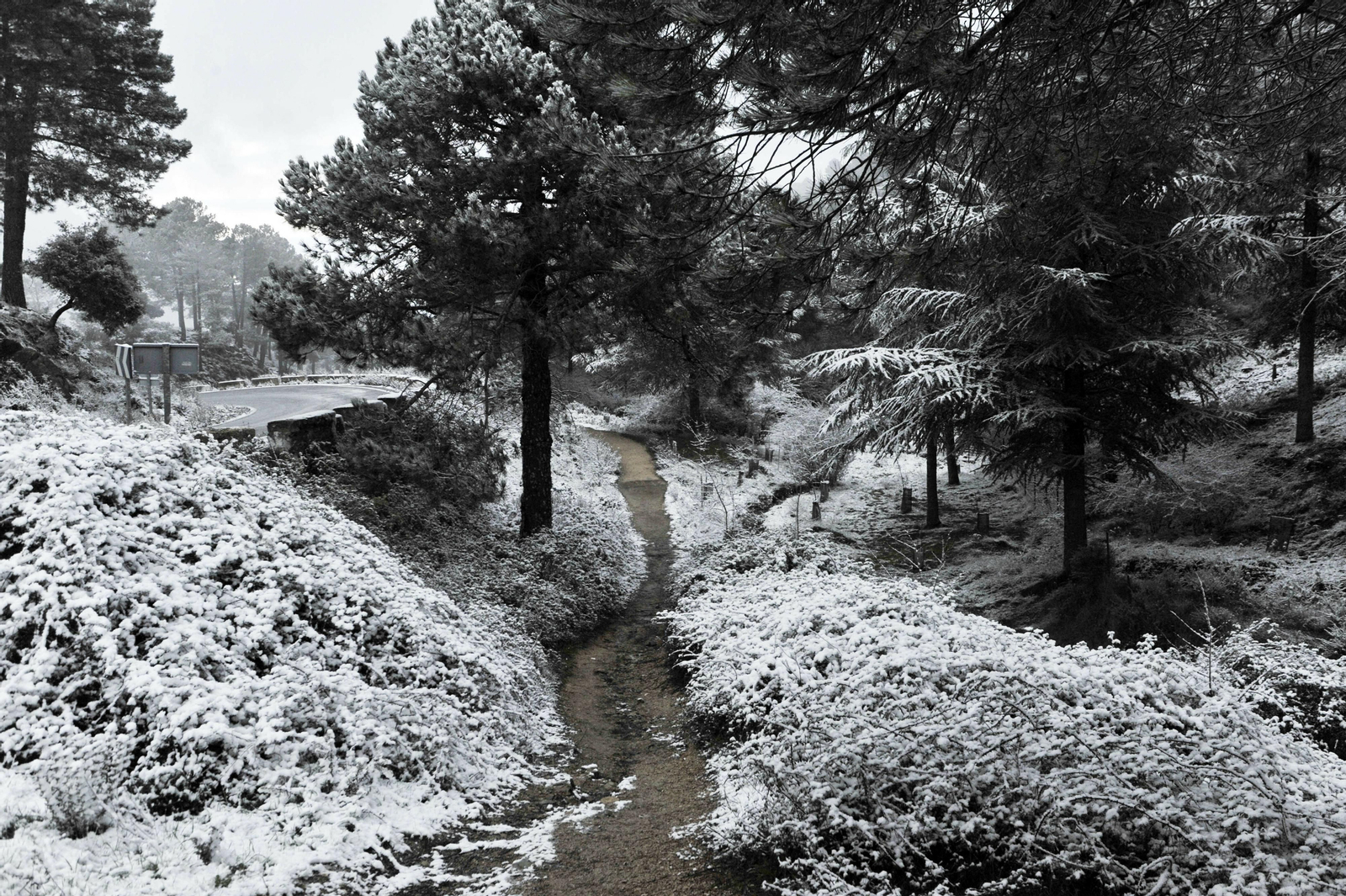 Nieve en Grazalema