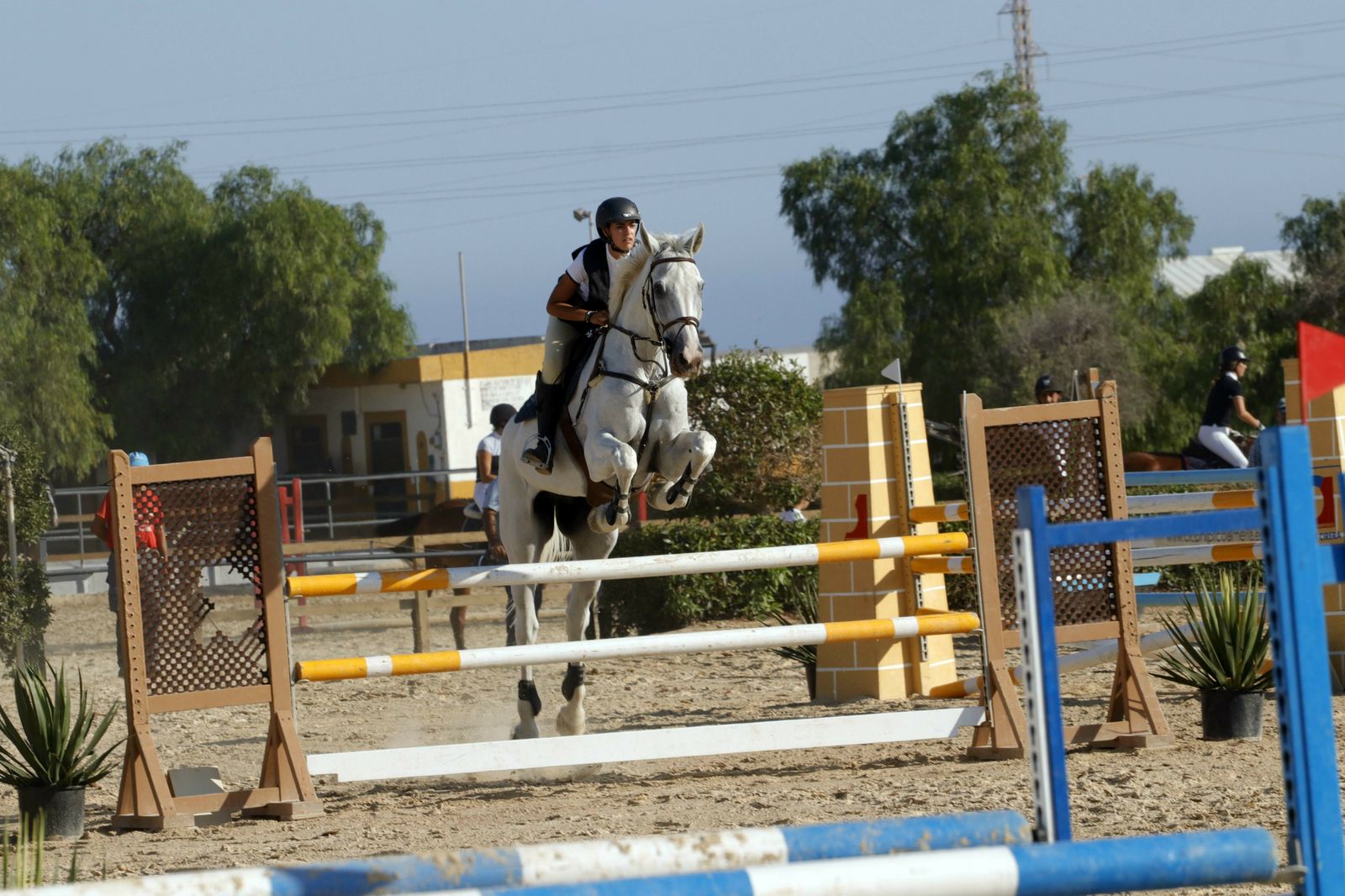 Fotogalería del XLV Concurso Nacional de Salto de Obstáculos