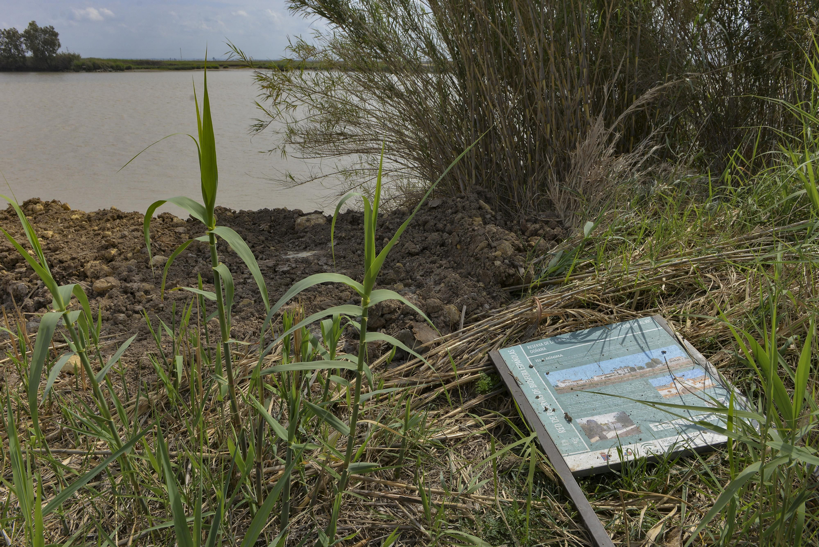 Travesía en barco por el Guadalquivir
