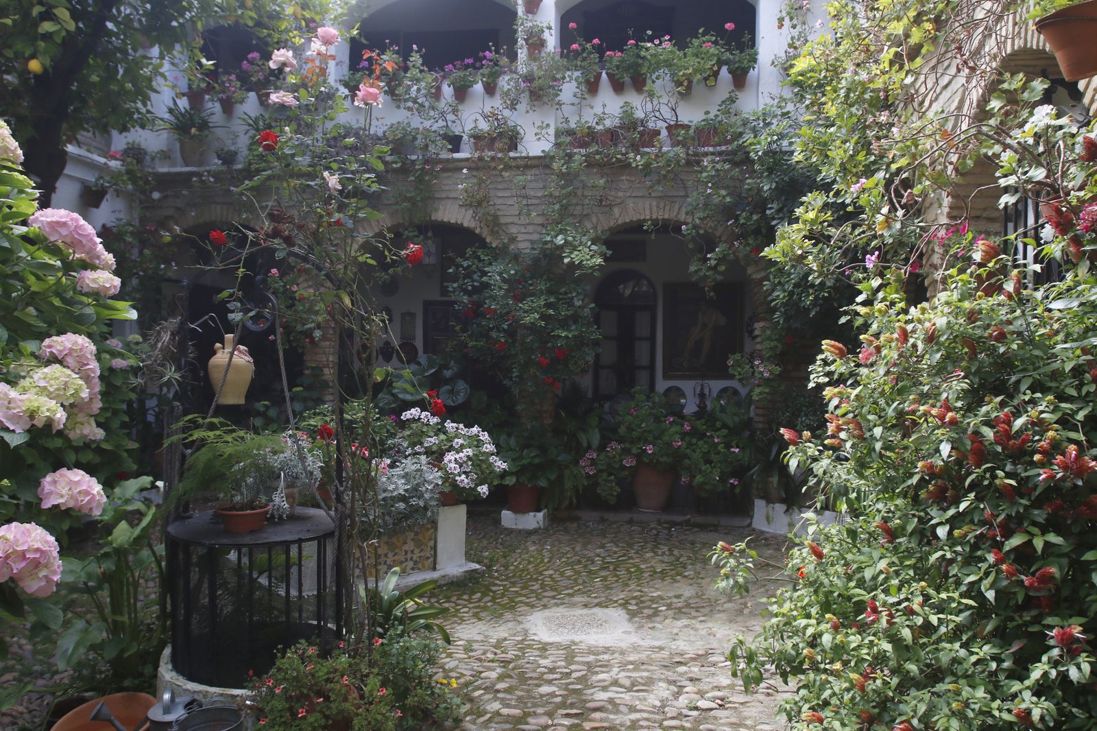 Los Patios de Córdoba en tiempos de crisis: Parras, 6