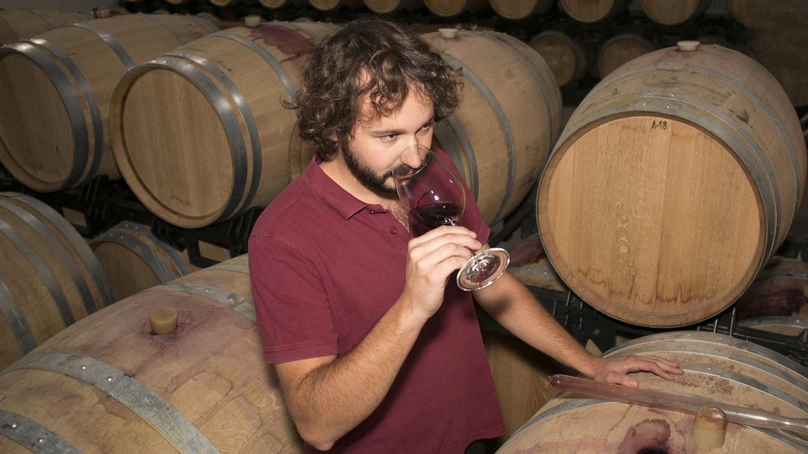 Agustín Millán, enólogo de la bodega Huerto de la Condesa realizando una cata en barrica. Agustín Millán, enólogo de la bodega Huerto de la Condesa realizando una cata en barrica.
