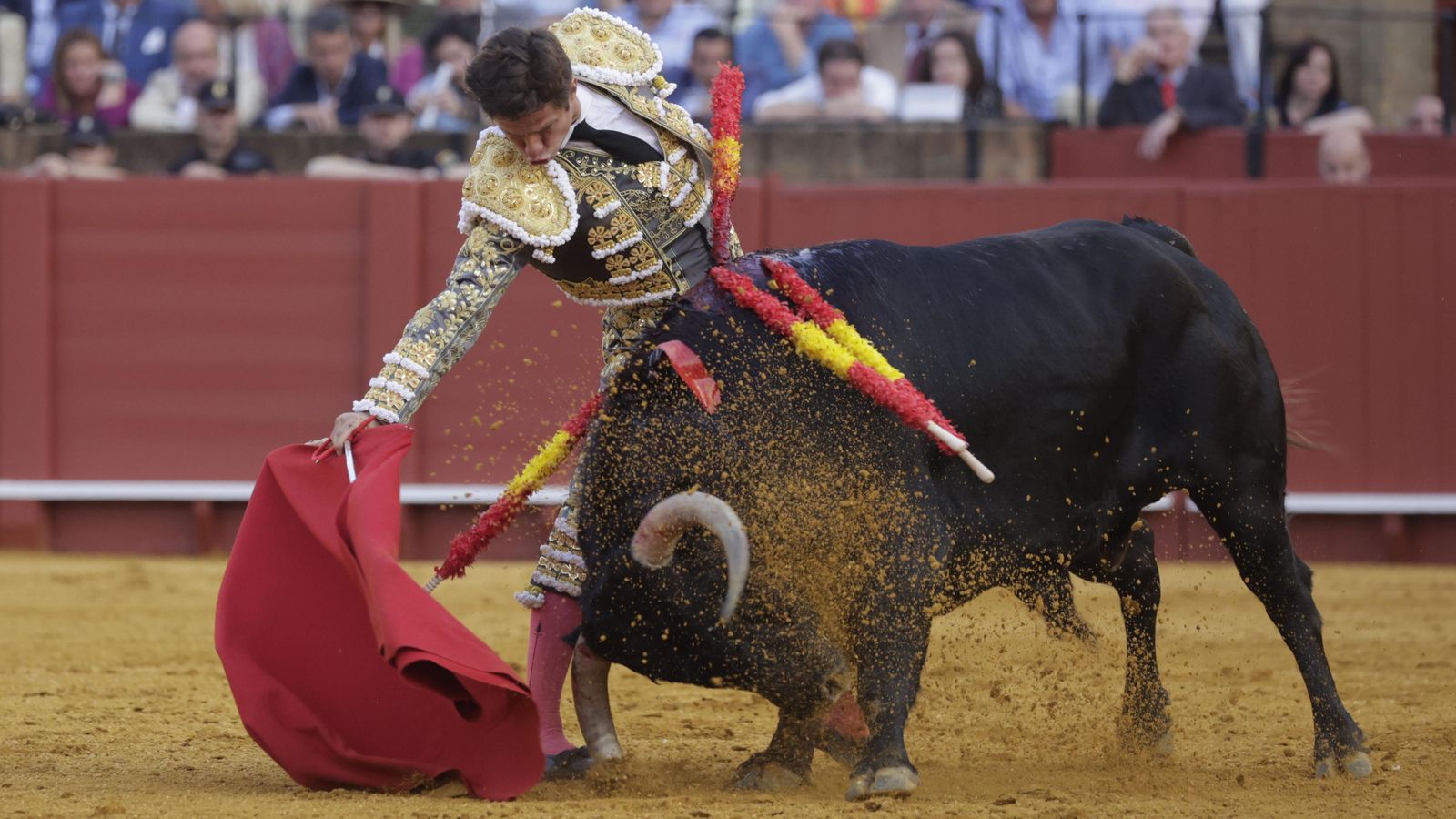 El Juli torea poderoso con la mano derecha al quinto de la tarde, el único 'cuvillo' que sirvió y al que desorejó.