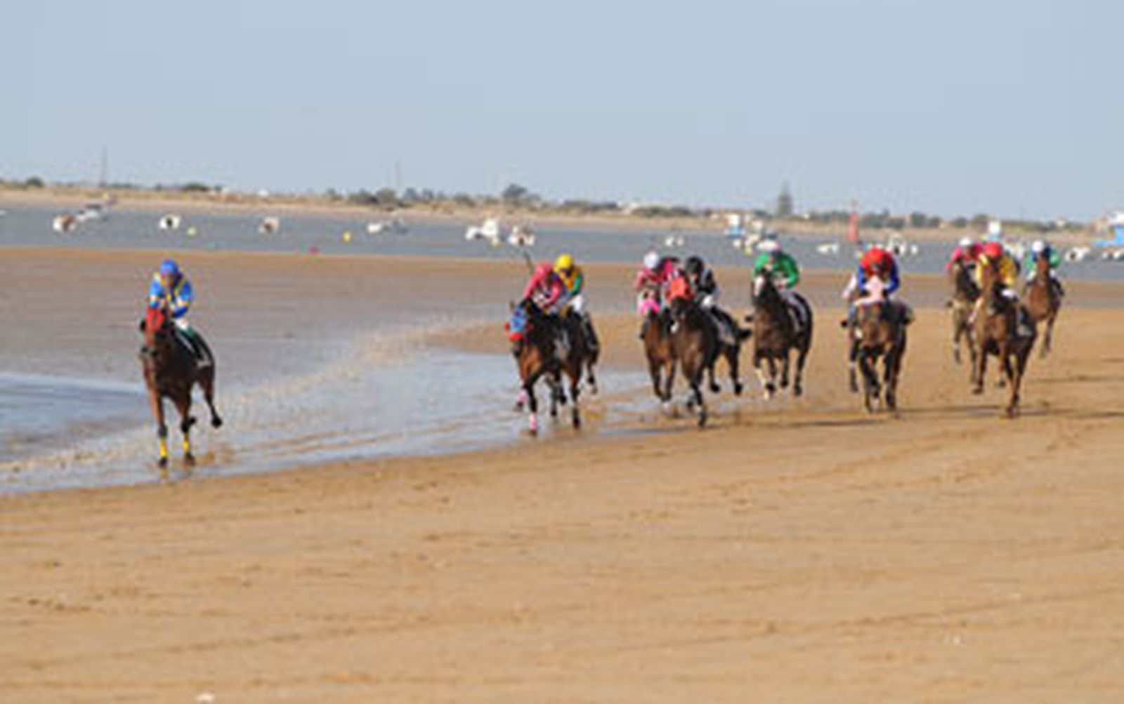 Hípica estival con bocata de tortilla