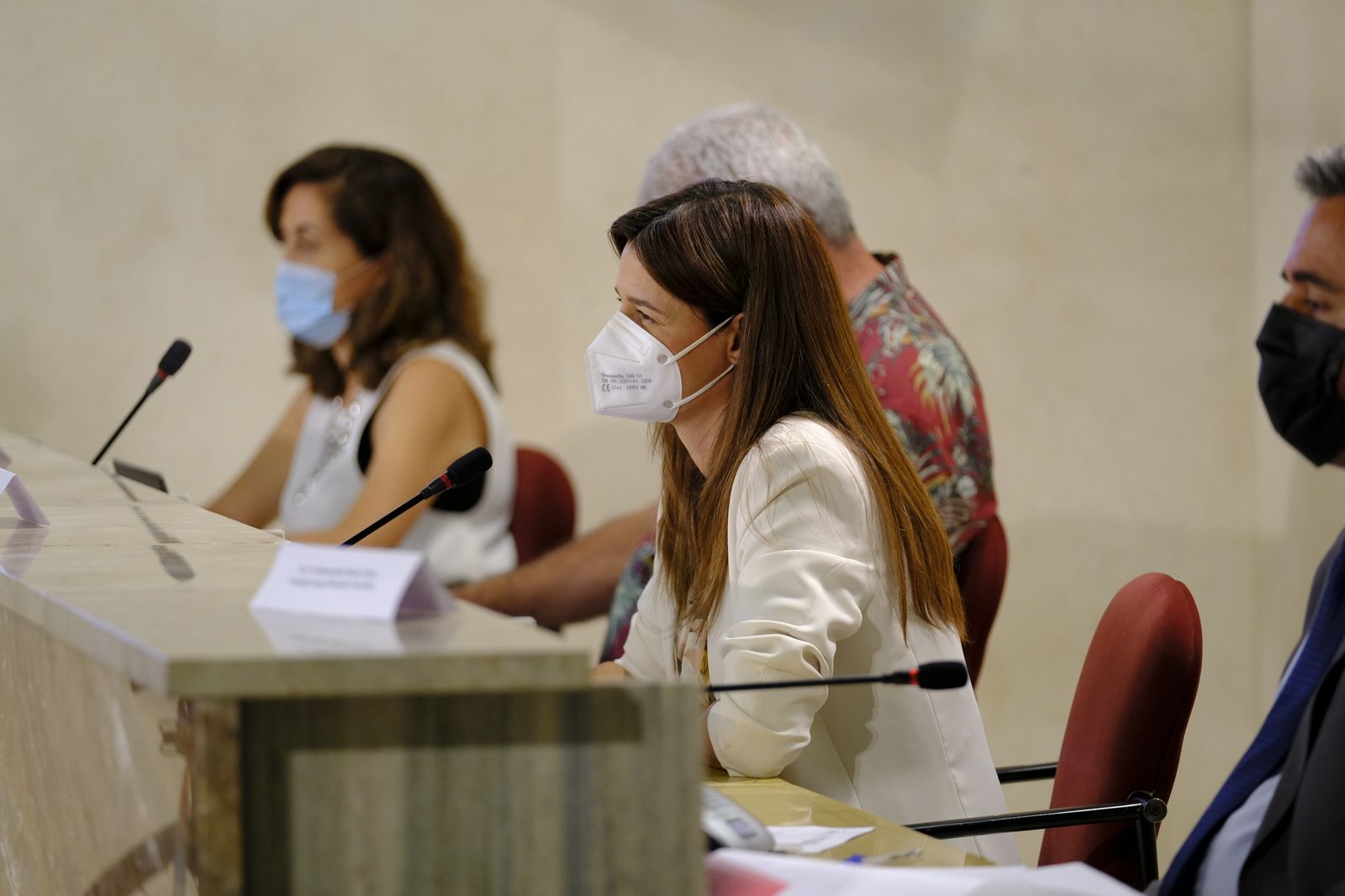 Fotogalería pleno ordinario del Ayuntamiento de Almería