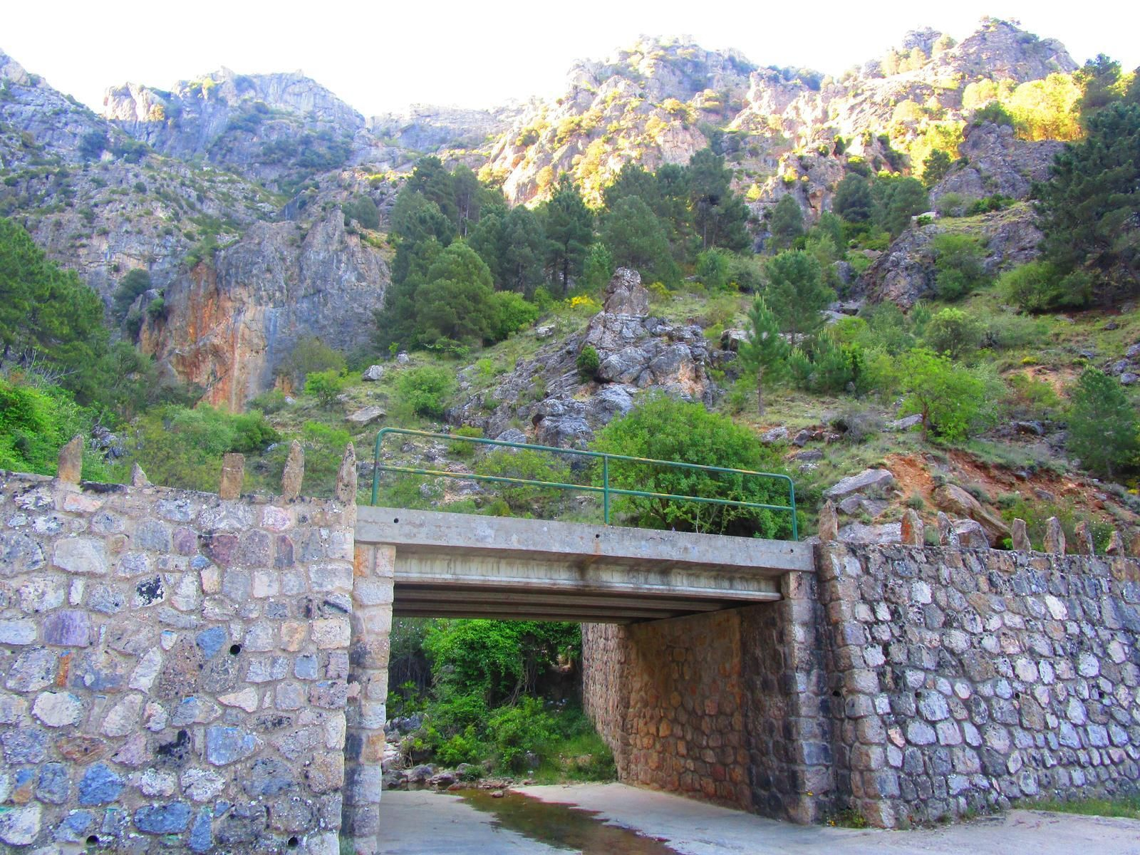 Sendero Escaleruela (Derivación GR 247 enlace)