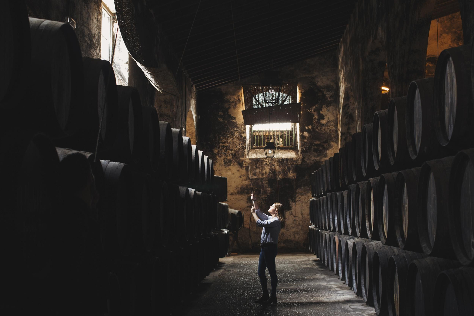 Jerez, vinos para coleccionar.