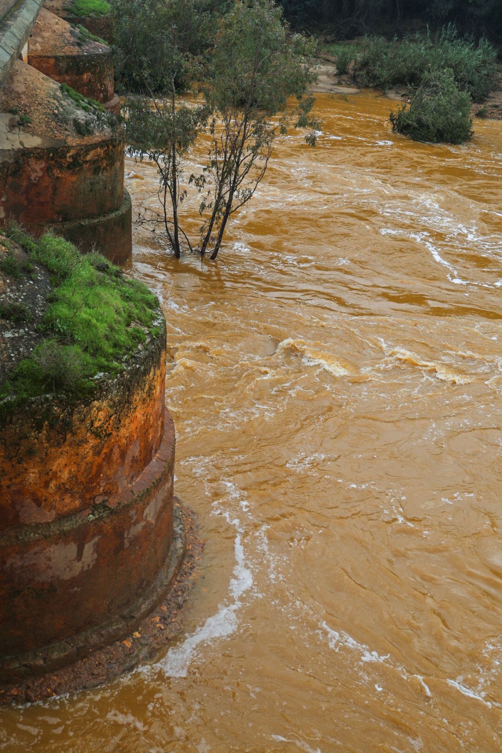 Fotografías del río Tinto a su paso por Niebla