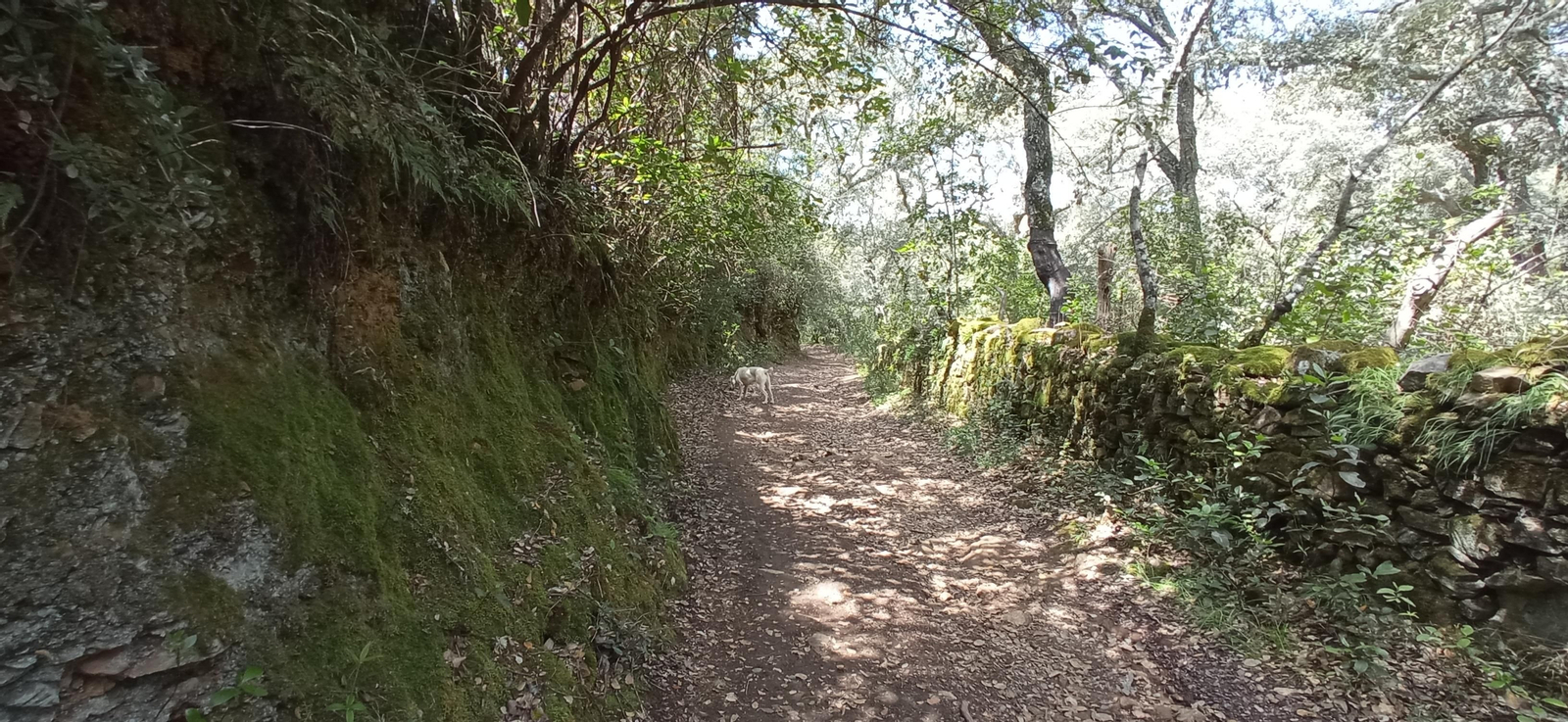 Las imágenes de la ruta de las casas de los Tres Cerditos