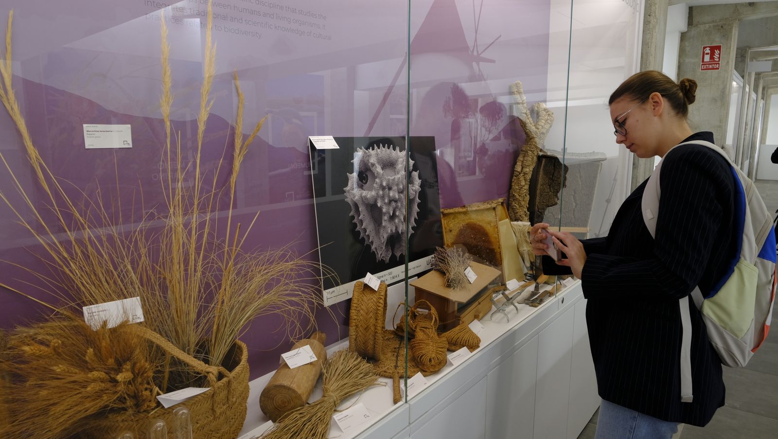 Las mejores imágenes del Pabellón de Historia Natural de la UAL