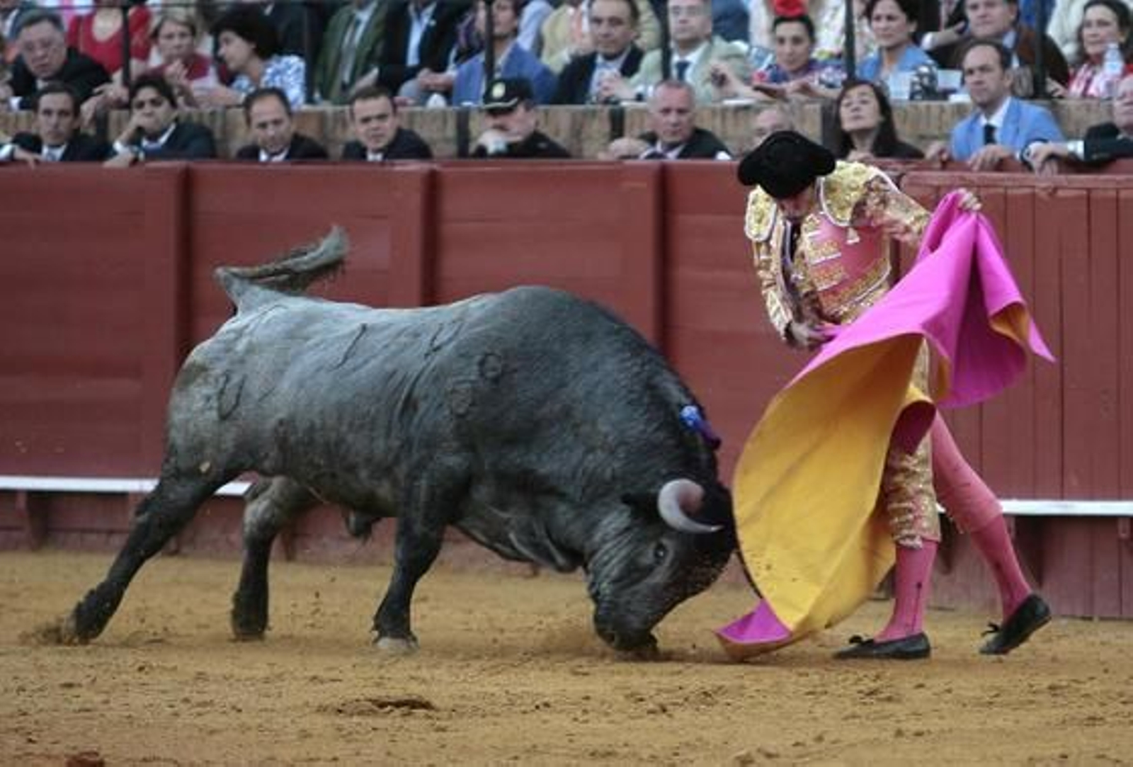 Foto: Juan Carlos Muñoz