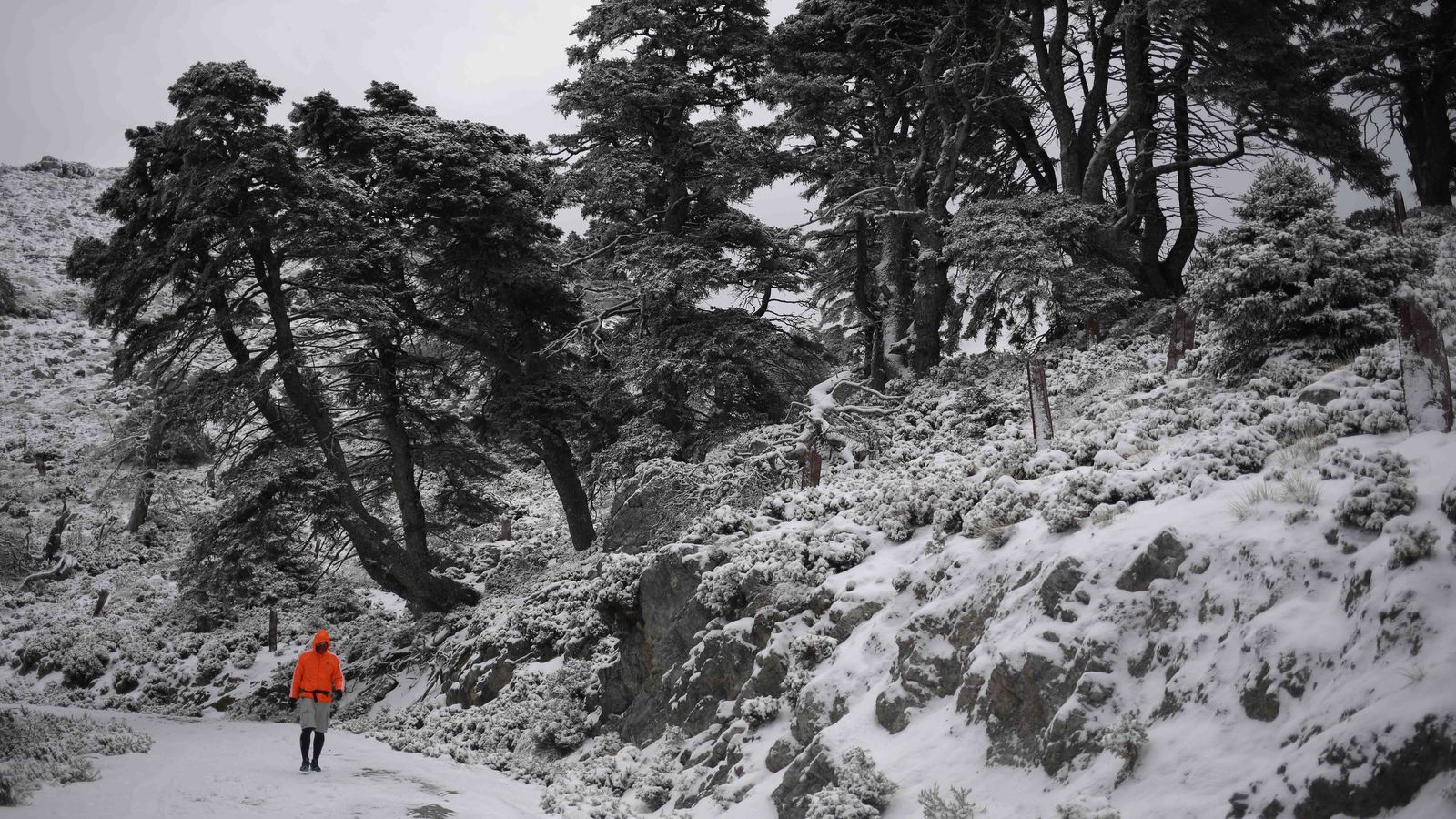 Sierra de las Nieves.