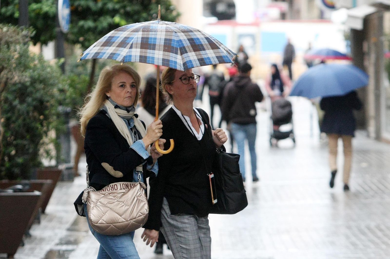 Imágenes del viernes 3 de noviembre en Huelva