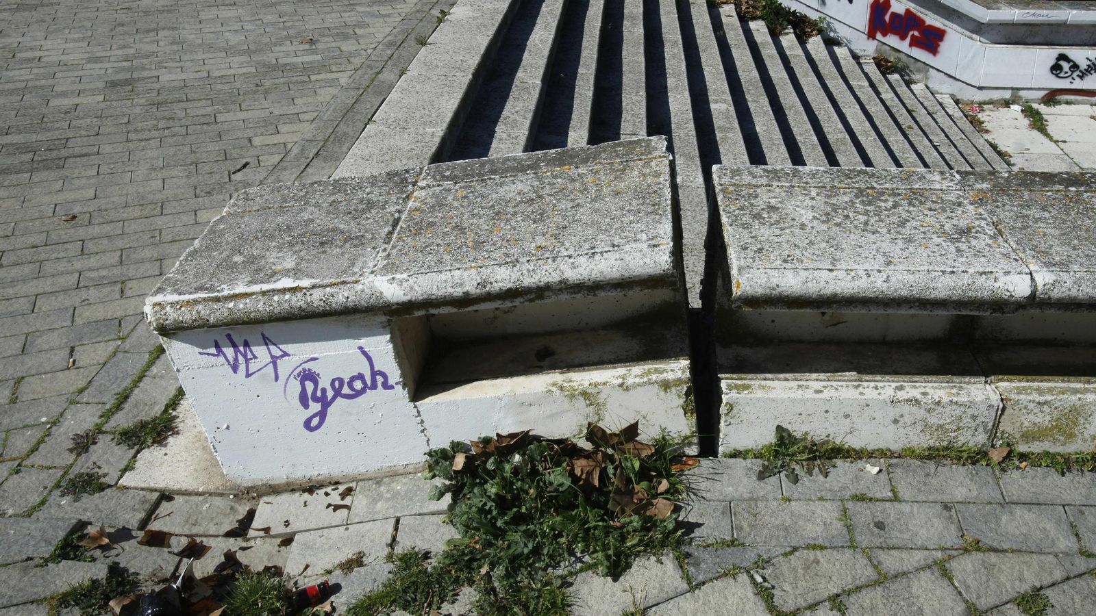 Poyete y suelo levantados por las raíces de los árboles.