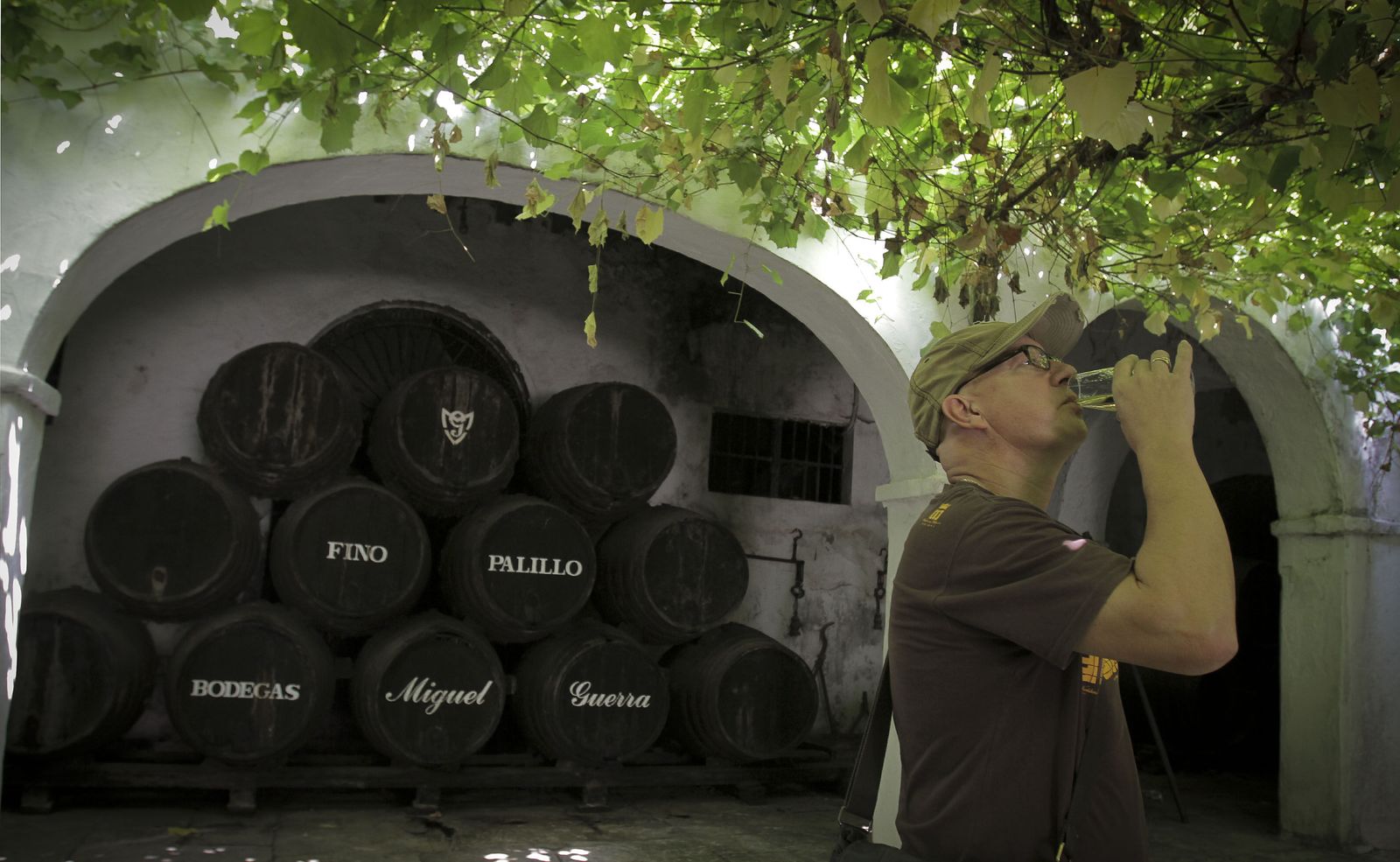 chiclana apuesta por el sector vitivinícola