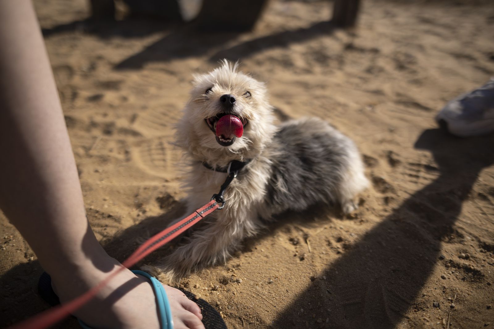 Imágenes del viernes 19 de agosto en Huelva