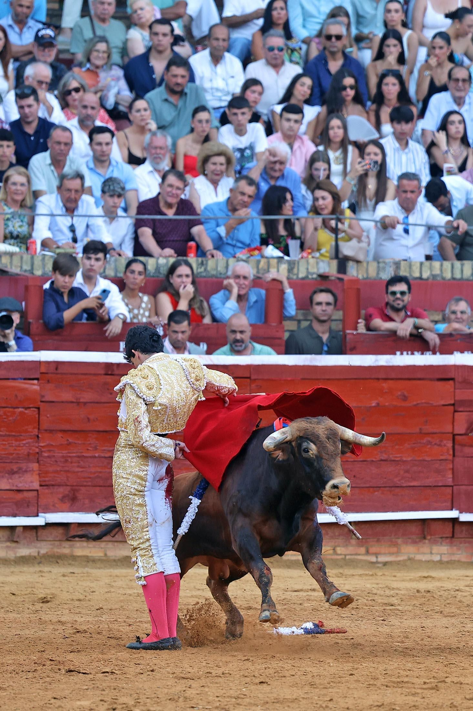 Toros La Merced 2025: Imágenes de la Novillada de Javier Zulueta, Cristian González y Carlos Tirado