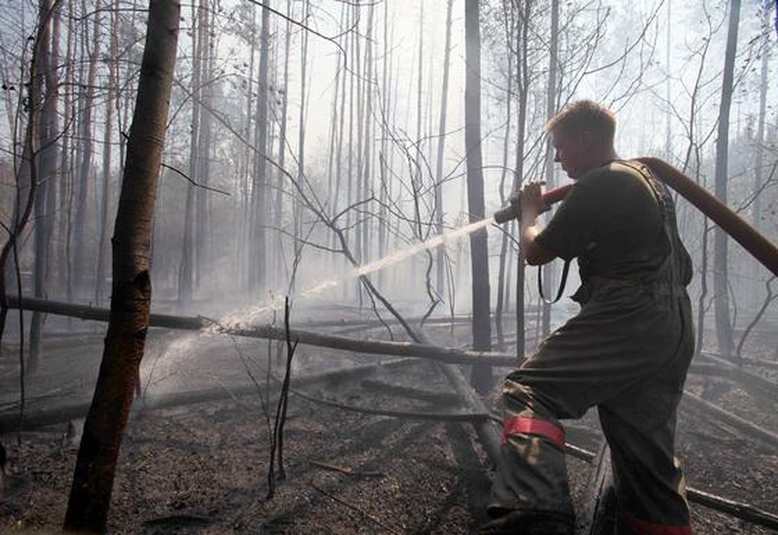Siete regiones rusas están en estado de emergencia por los fuegos forestales. / AFP