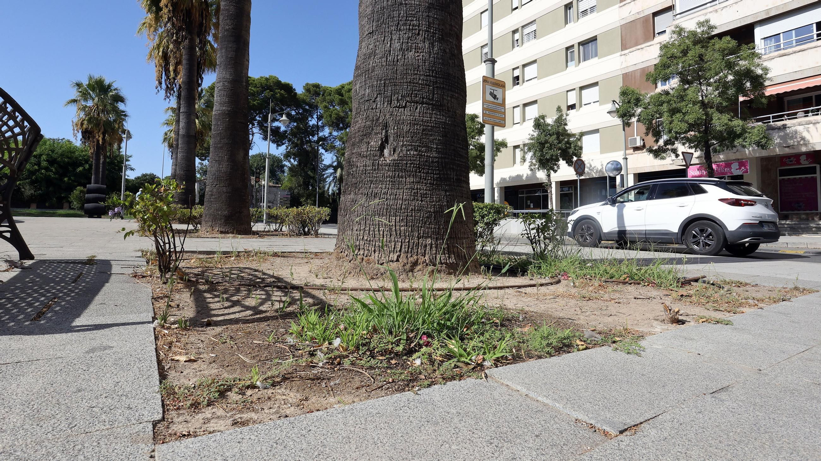 Así está la Plaza del Caballo, que va a ser adecentada por el Ayuntamiento de Jerez