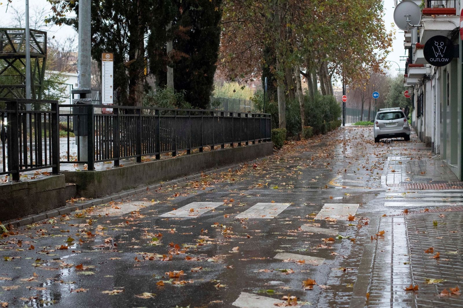 Granada bajo el temporal: imágenes de la ciudad durante la alerta naranja
