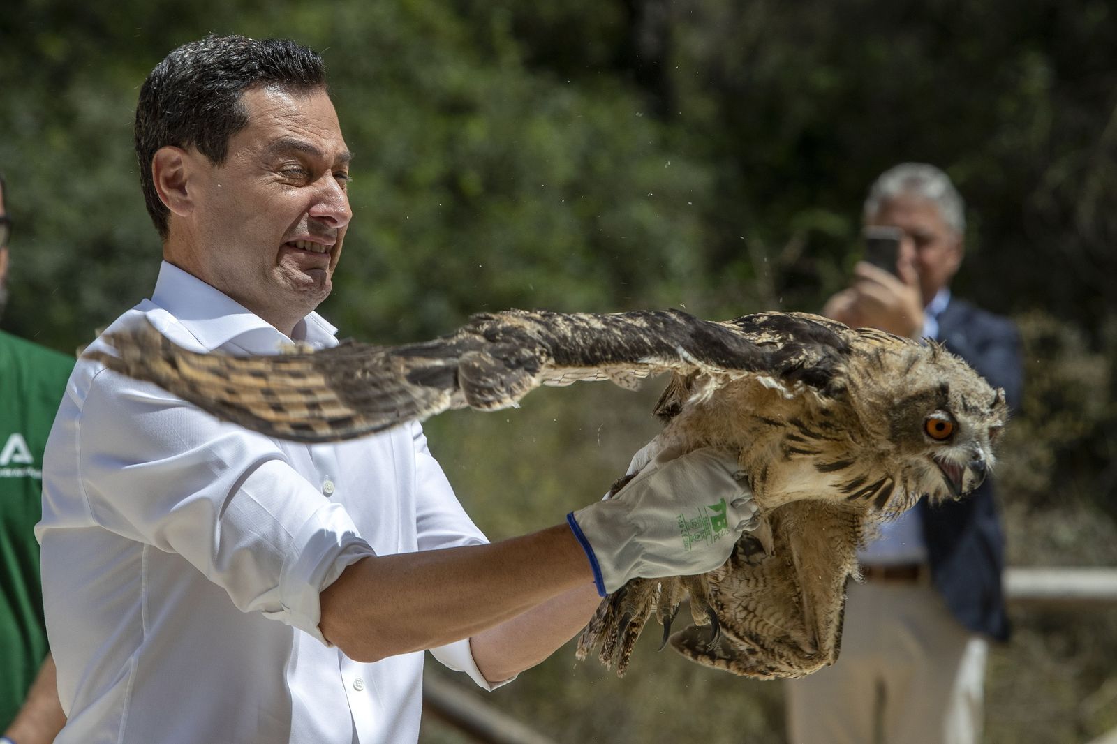 Juanma Moreno suelta un búho real en un pinar de Chiclana.