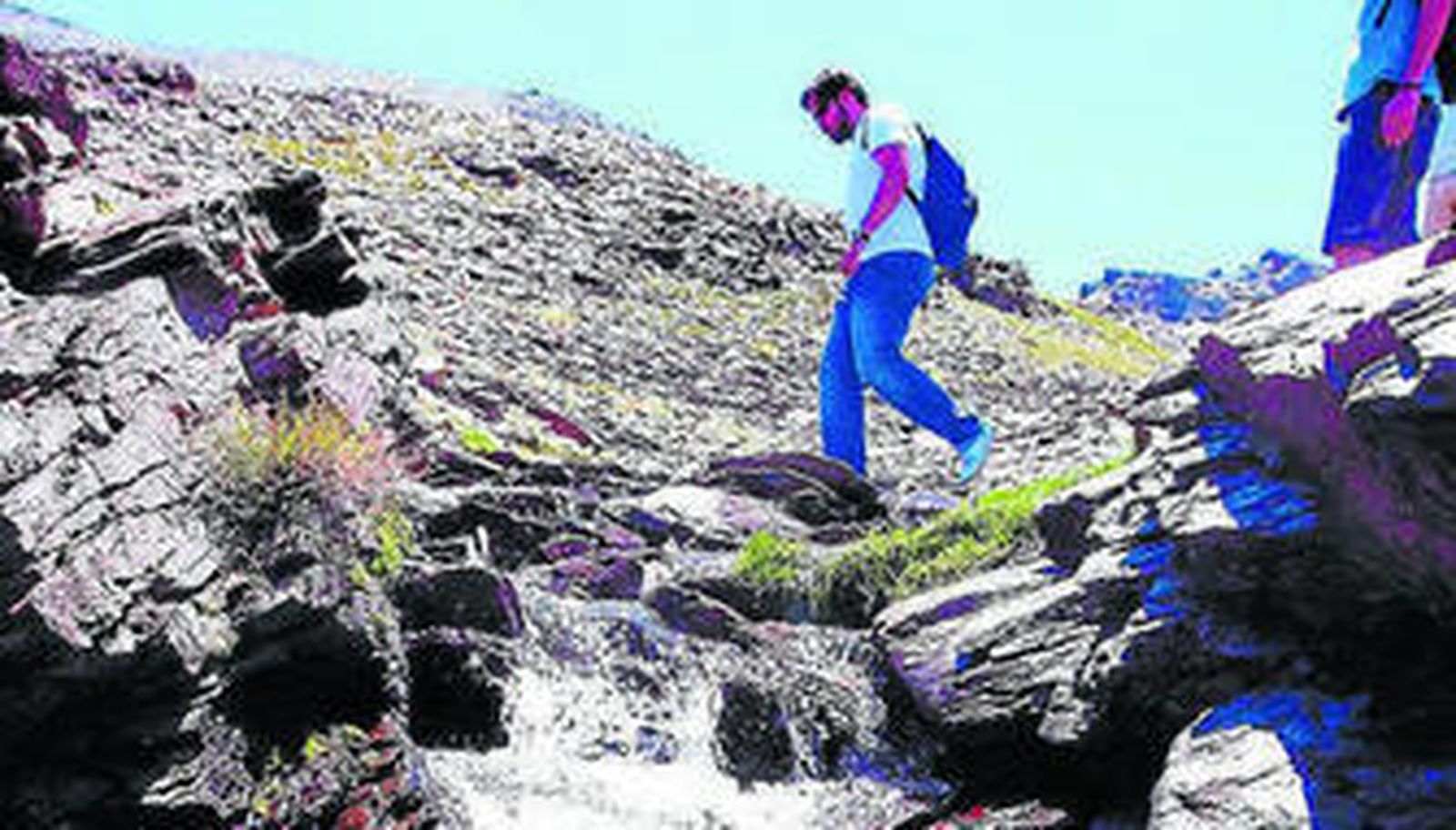 El curso aboga por la mejora de la conciencia ecológica y medioambiental.