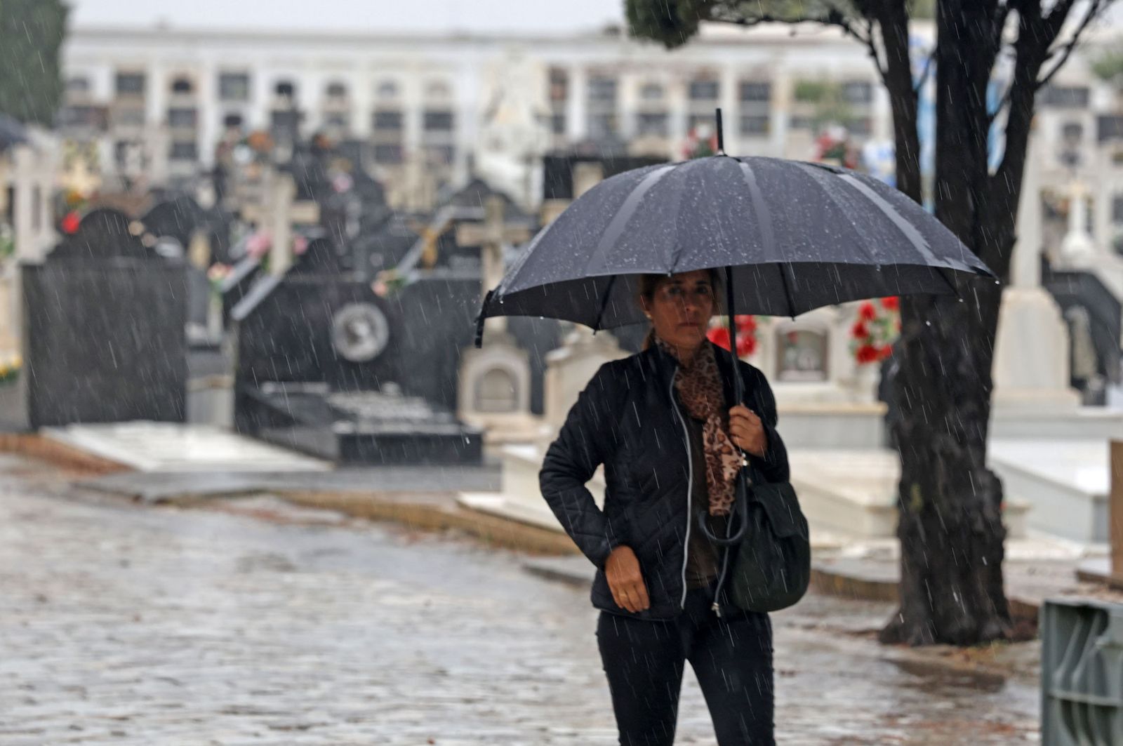 Las mejores imágenes del viernes 1 de noviembre en Huelva