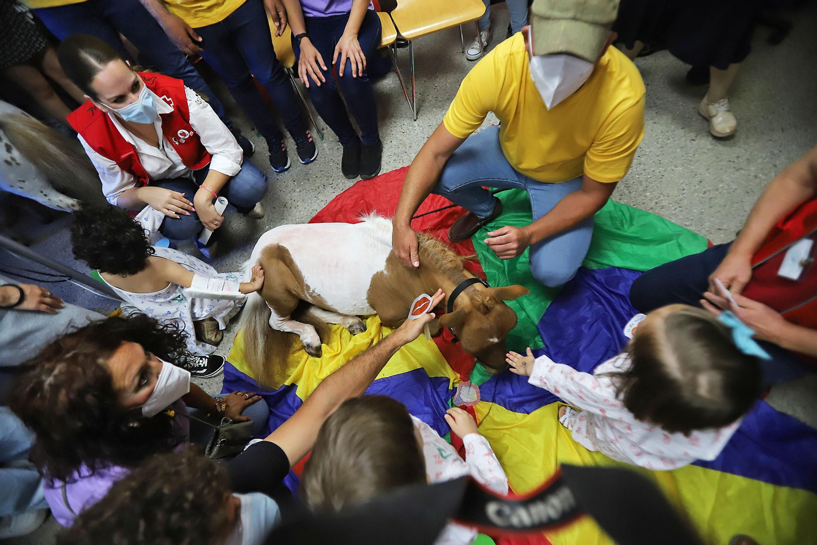 Los niños hospitalizados en el Juan Ramón Jiménez reciben la inesperada visita de unos caballos