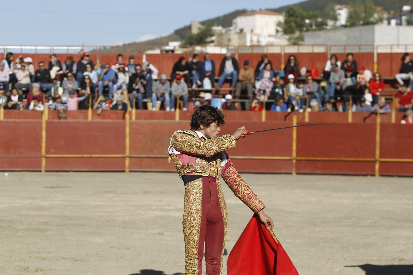 Fotogalería Novillada Fiestas de Abrucena