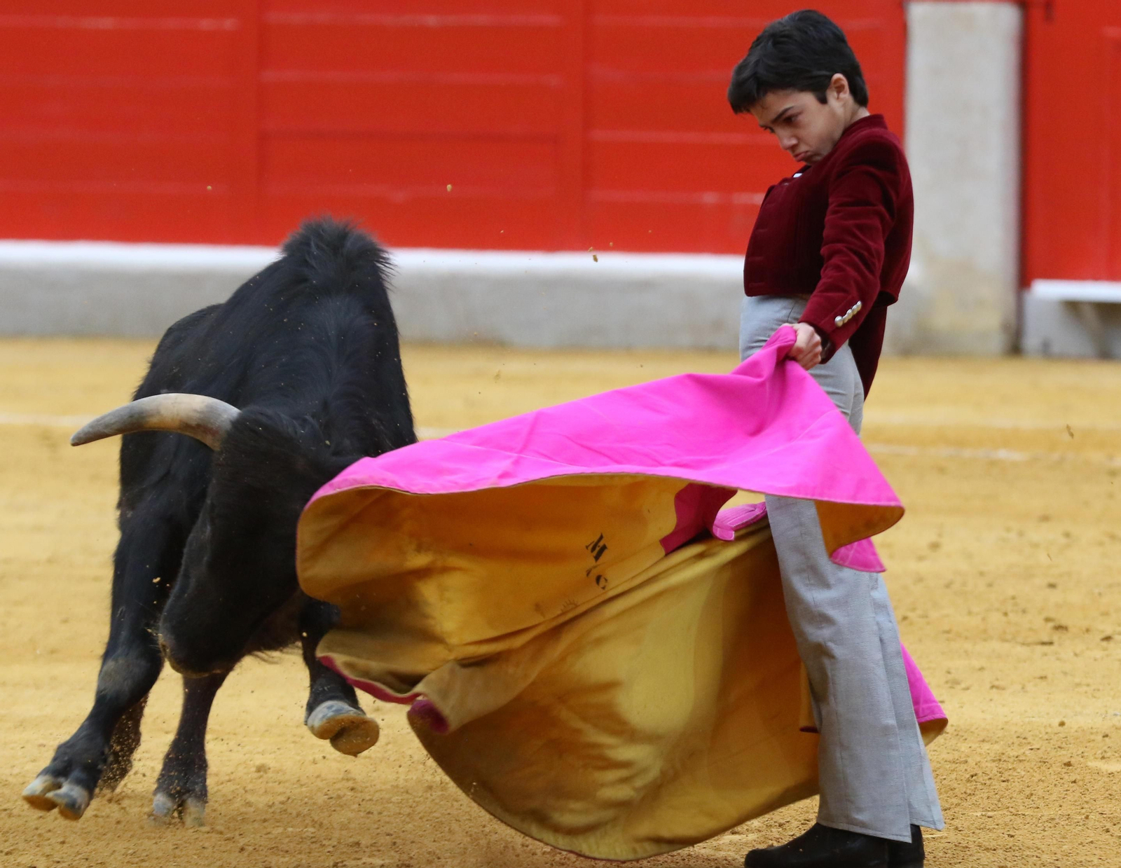 El Festival Taurino Granadown, en imágenes