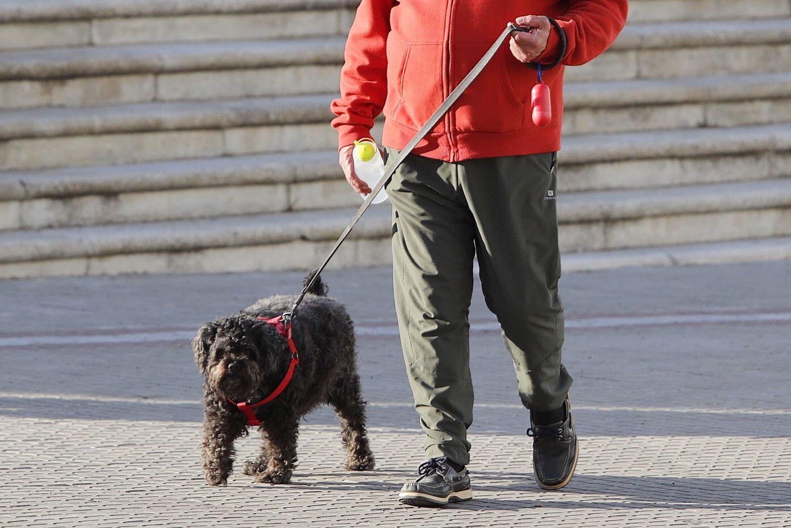 Un hombre pasea a su perro.
