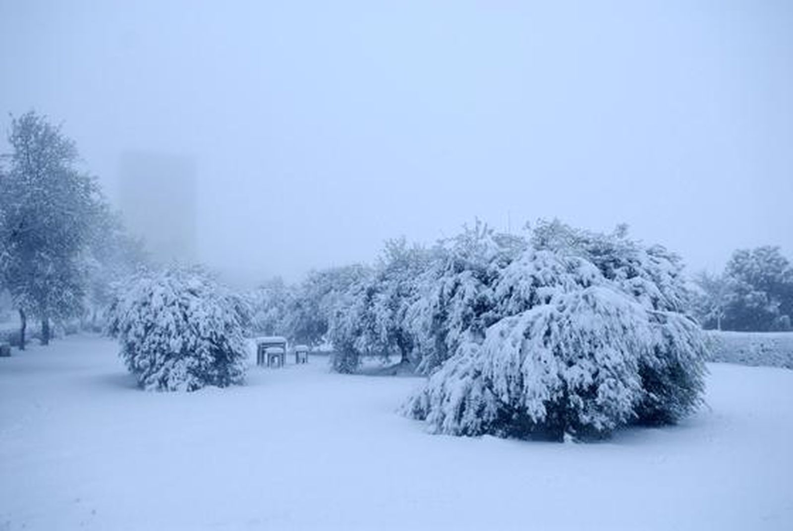 Las imágenes de las nevadas en la provincia de Sevilla