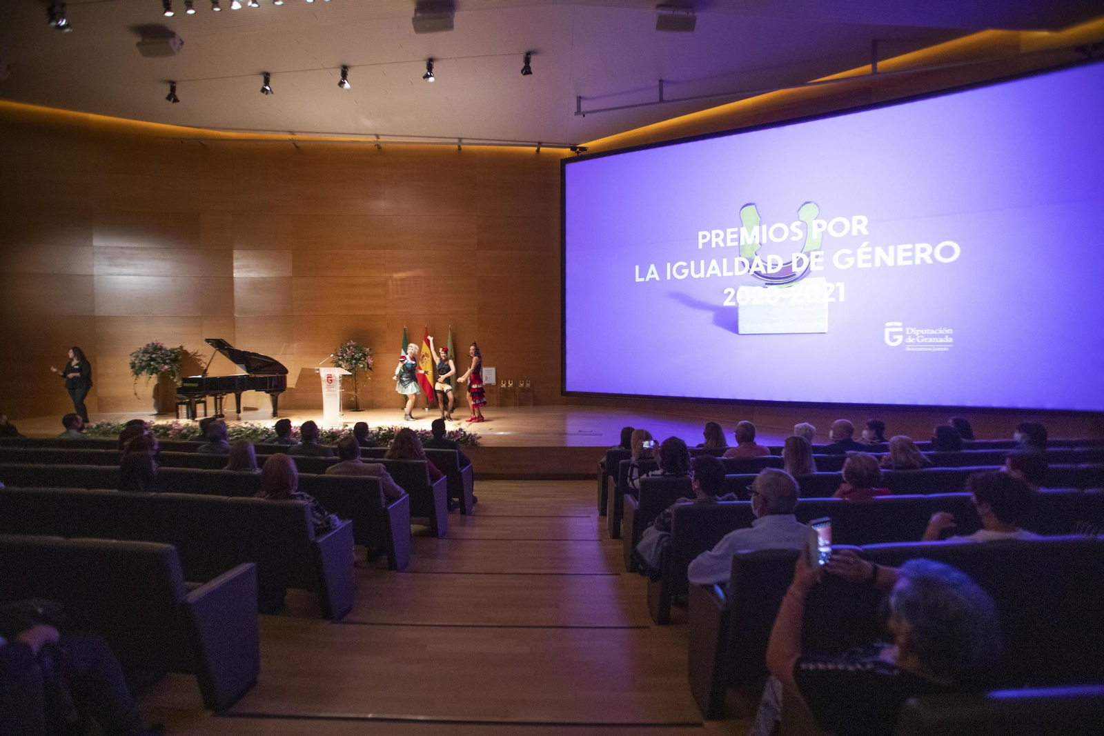Fotos: los premiados por la Igualdad por la Diputación de Granada