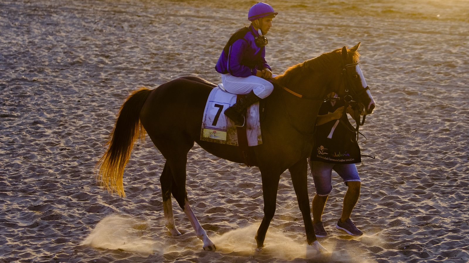Las carreras de caballos en Sanlúcar en imágenes.
