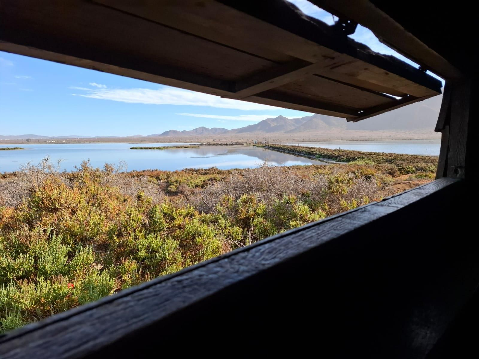 La jornada desgranó la importancia del Parque Natural como reservorio de aves