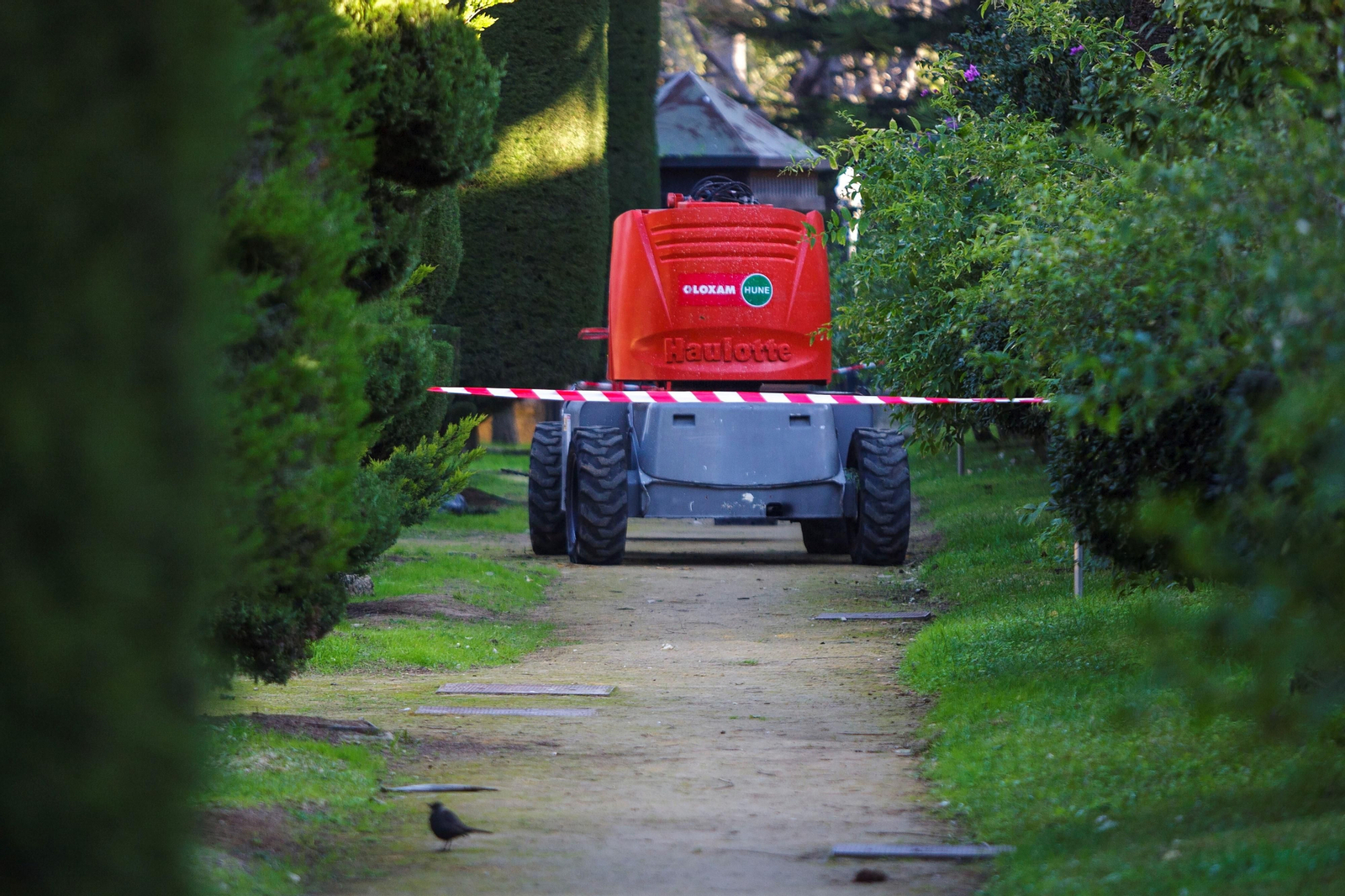 Imágenes del mal estado del Parque Genovés de Cádiz