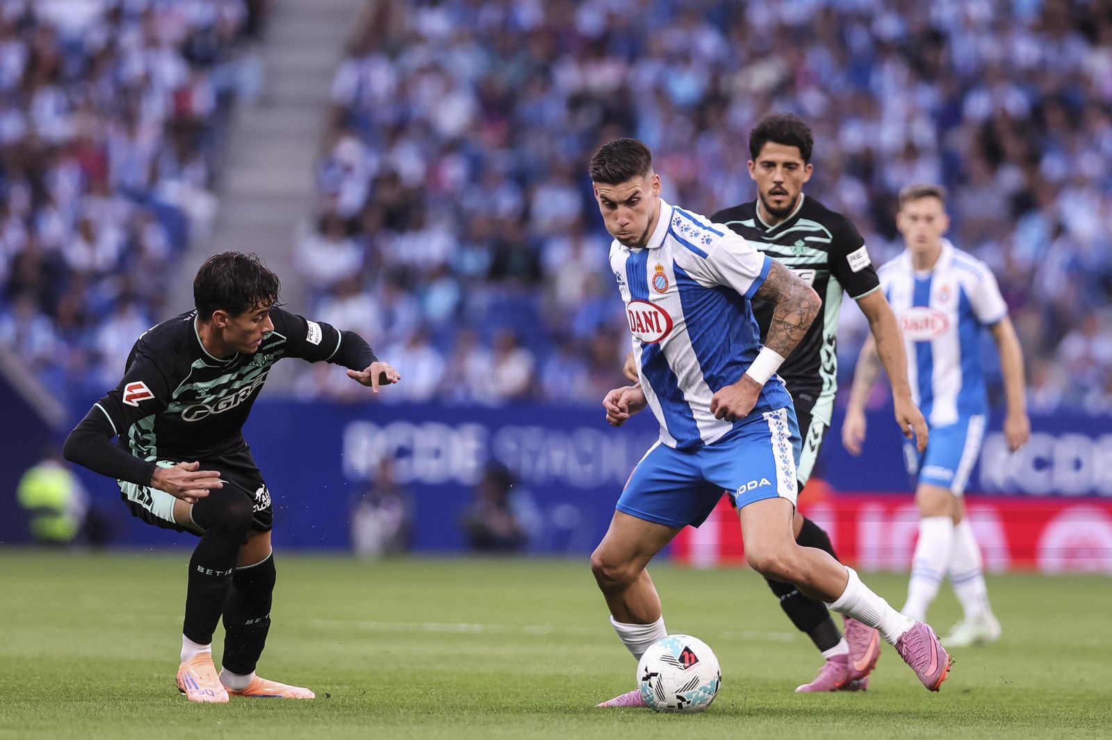 Las mejores fotos del Espanyol-Betis