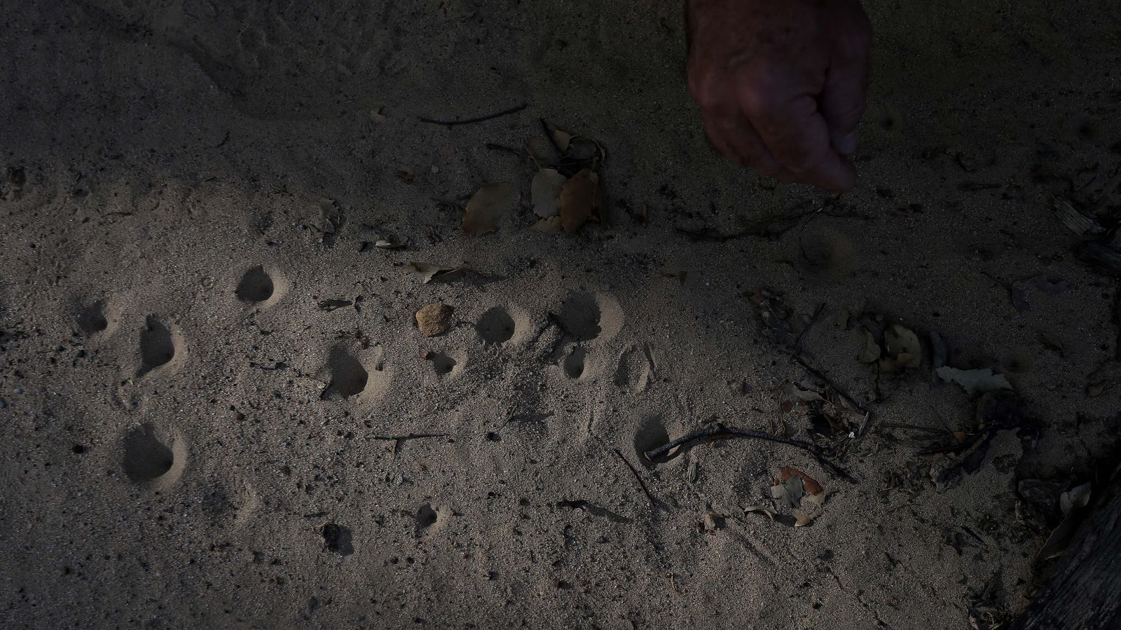 Las mejores fotos de San Carlos del Tiradero